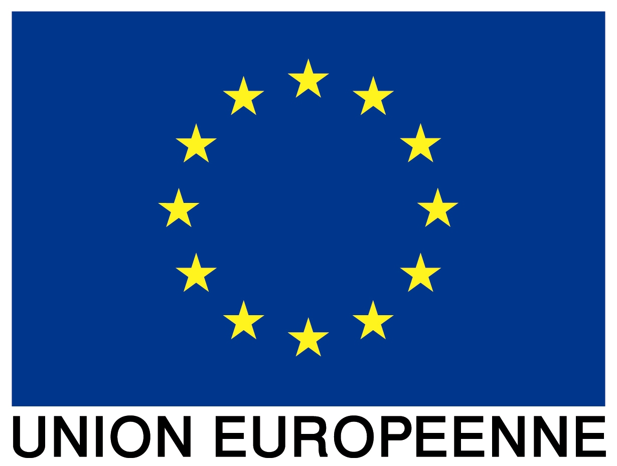 Logo UE